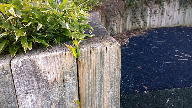 istock Leafs and wood in child play park 482836341