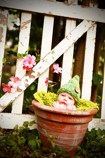 A portrait of an adorable baby girl, one month old, sitting in a flower pot in a garden. She looks like a garden gnome with her knitted hat.