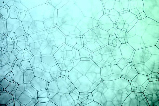 istock Blue abstract macro photo the foam in form of web 482838331
