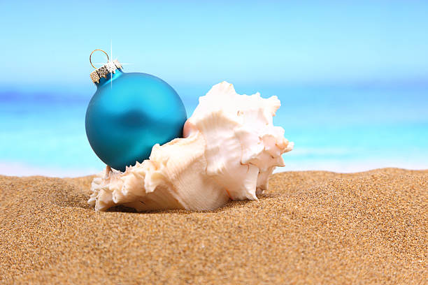 istock hristmas ball in a sea shell on the beach 482838663