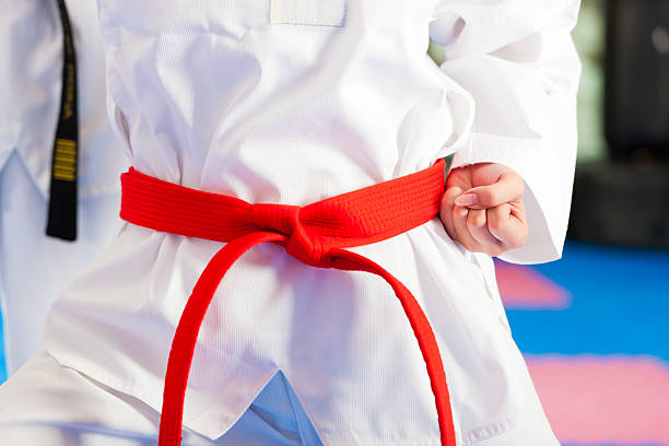 istock Martial Arts sport training in gym 482841503