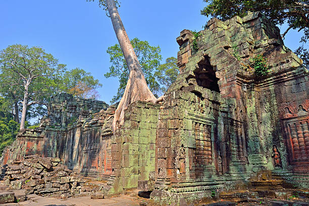 preah-khan-tempel in angkor wat - angkor wat prehistoric art apsara angkor stock-fotos und bilder