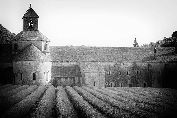 abadía de notre-dame de sénanque - senanque fotografías e imágenes de stock