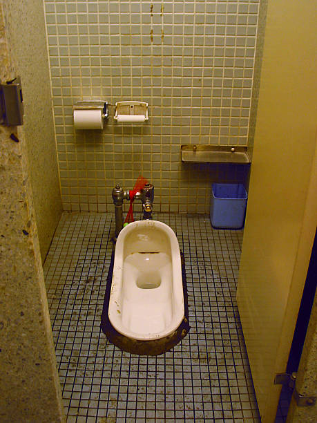istock Squat Toilet with Muddy Floor in Public Restroom 482844278