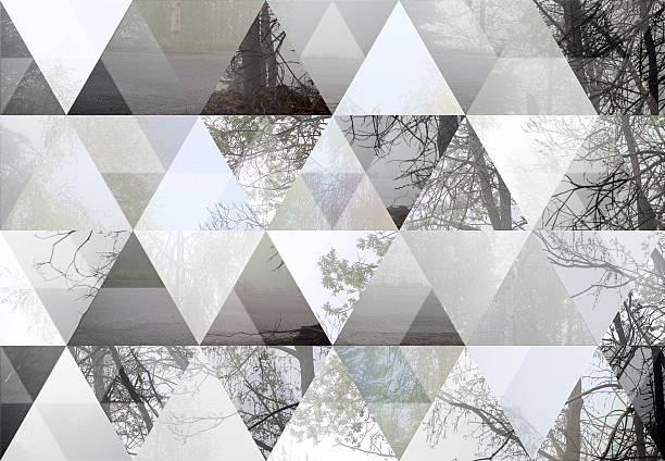 istock Abstract triangle shaped background: Misty woods landscape with fog 482844510