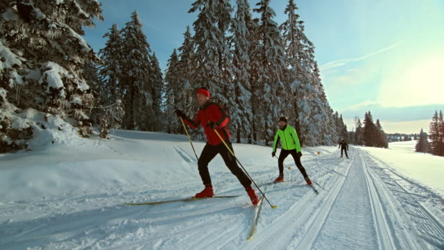 TS SLO MO family cross country skiing on sunny day
