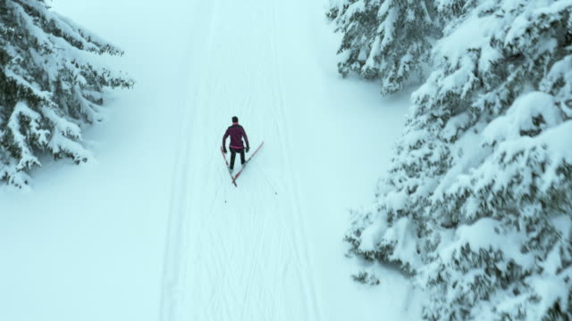 Aerial of young woman cross country skiing amongst trees