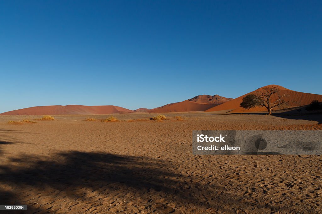 Dune 45 Red dunes on the road to Sossusvlei, Namibia 2015 Stock Photo