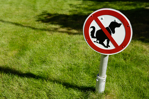 Sign with a pictogram of a dog: \