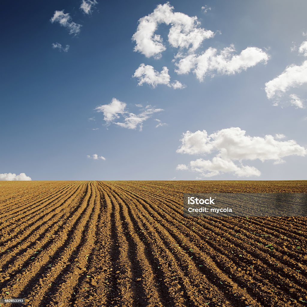 Champ labouré et ciel bleu - Photo de Agriculture libre de droits
