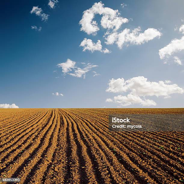 Photo libre de droit de Champ Labouré Et Ciel Bleu banque d'images et plus d'images libres de droit de Agriculture - Agriculture, Automne, Bleu