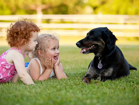 Two young girls (sisters) pretending to be dogs. The girl in the middle of the photo has her tongue sticking out similar to the dog. Both girls are looking at the dog, and the dog has her head turned toward the girls.