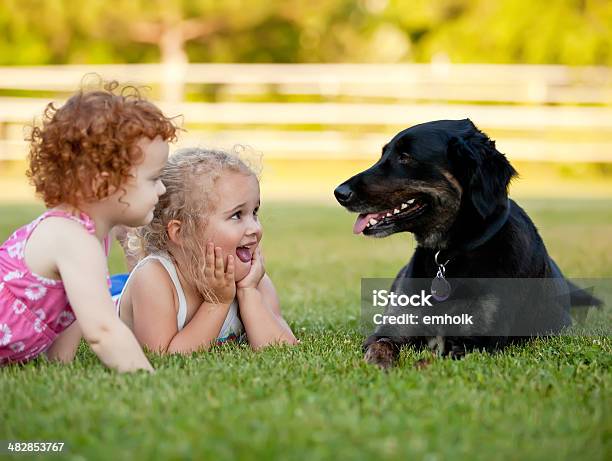 Dwie Młode Dziewczyny Leżąc W Pobliżu Czarny Rodziny Pies Pet - zdjęcia stockowe i więcej obrazów Rodzina