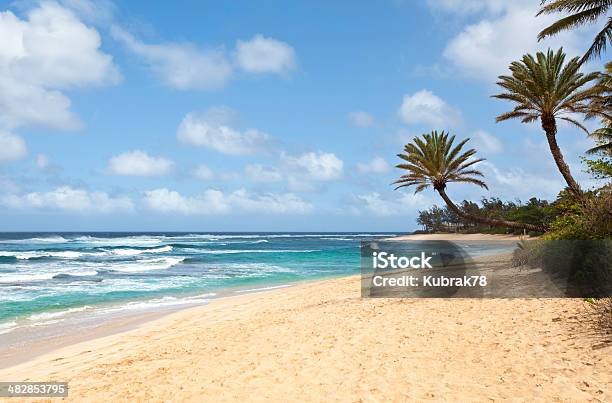 Piękne Tropikalnej Plaży Z Palmami - zdjęcia stockowe i więcej obrazów Bez ludzi - Bez ludzi, Brzeg wody, Chmura