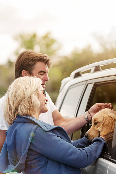 istock Couple with dogs 482854379