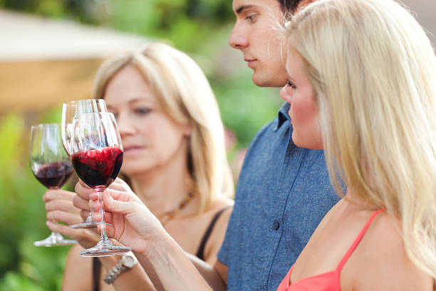 istock Group of Tourists Wine Tasting in Winery Vineyard 482854607