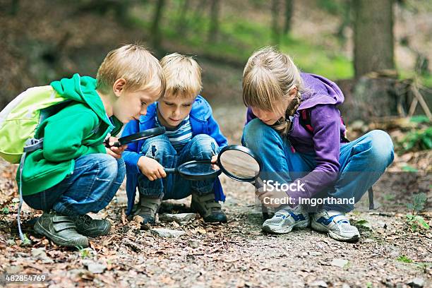 Descubrimiento De Los Misterios De La Naturaleza Foto de stock y más banco de imágenes de Niño - Niño, Naturaleza, Jugar