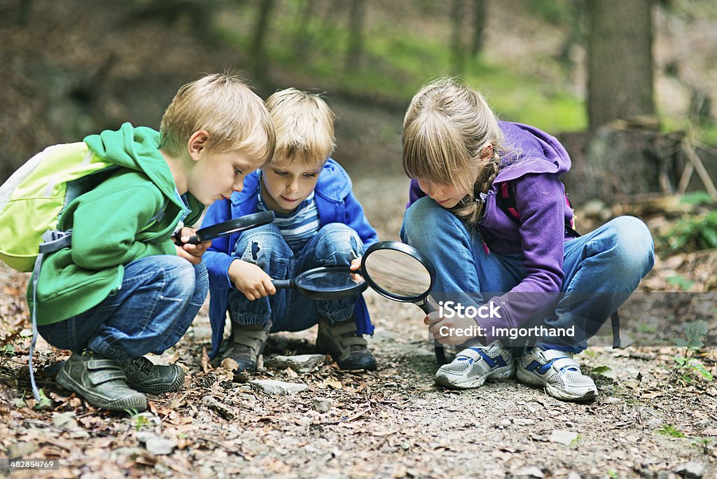 Discovering the mysteries of nature Kids with magnifying glasses exploring the nature. Slightly soft. Child Stock Photo