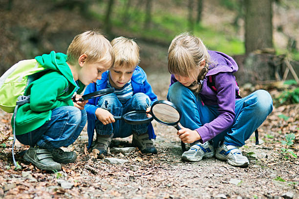 Discovering the mysteries of nature Kids with magnifying glasses exploring the nature. Slightly soft. two groups stock pictures, royalty-free photos & images