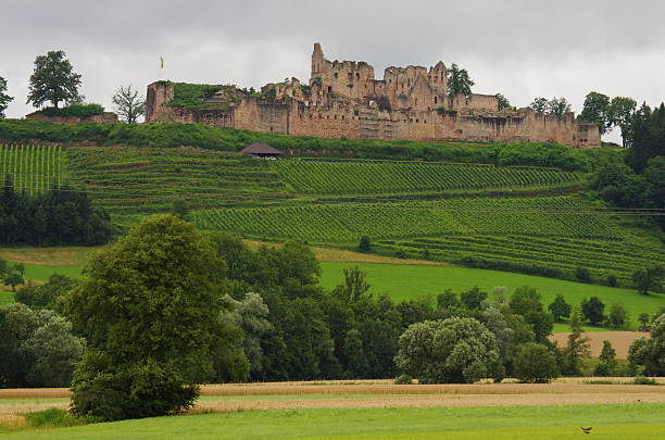 istock Hochburg castle in a rainy day 482854919