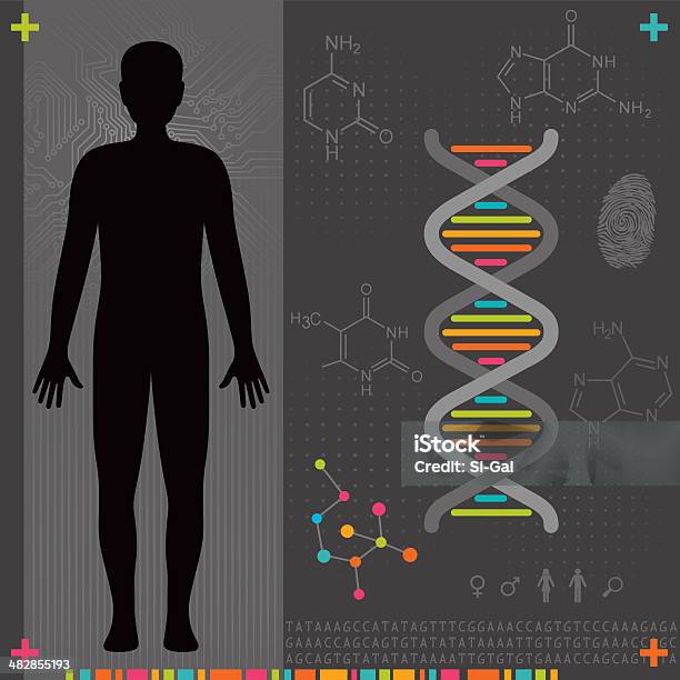Corpo Humanoadn - Arte vetorial de stock e mais imagens de ADN - ADN, Bioinformática, Pessoas