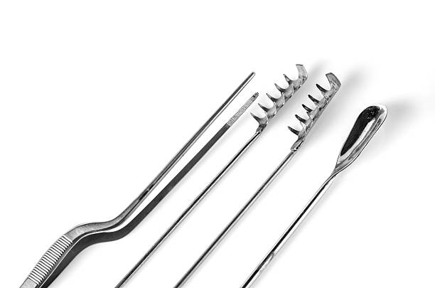 istock collection of plant tissue laboratory instruments on white backg 482855200