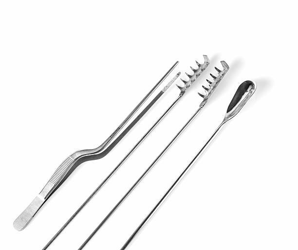 istock collection of plant tissue laboratory instruments on white backg 482855204