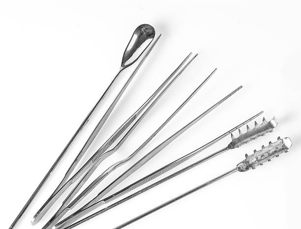 istock collection of plant tissue laboratory instruments on white backg 482855208