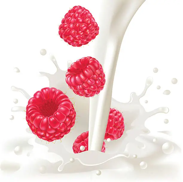 Vector illustration of Raspberries & Cream