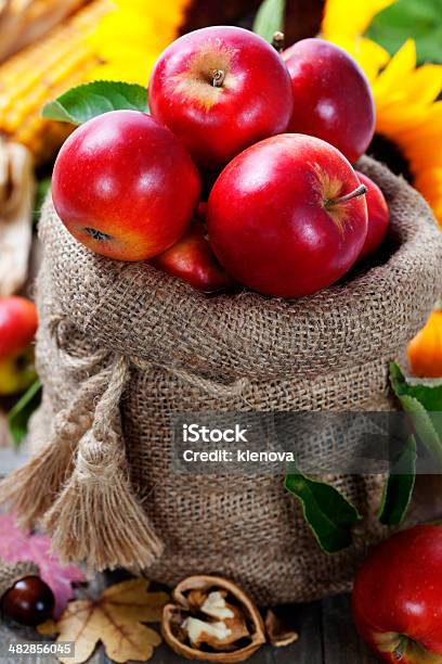 Harvest Time Stock Photo - Download Image Now - Apple - Fruit, Autumn, Backgrounds