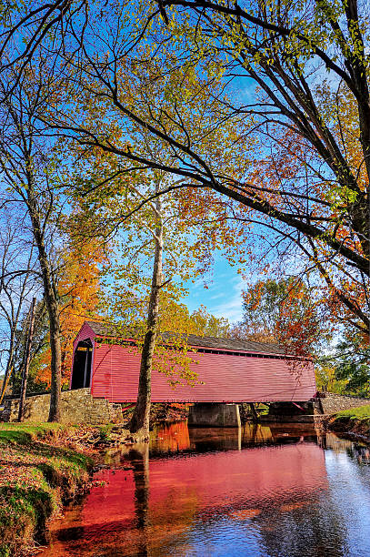 istock Covered Bridge in Maryland in Autumn 482856282