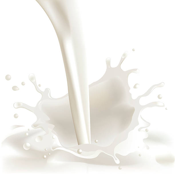 Milk Splash Vector illustration of milk splashing. High resolution jpg included. Mesh used. pouring stock illustrations