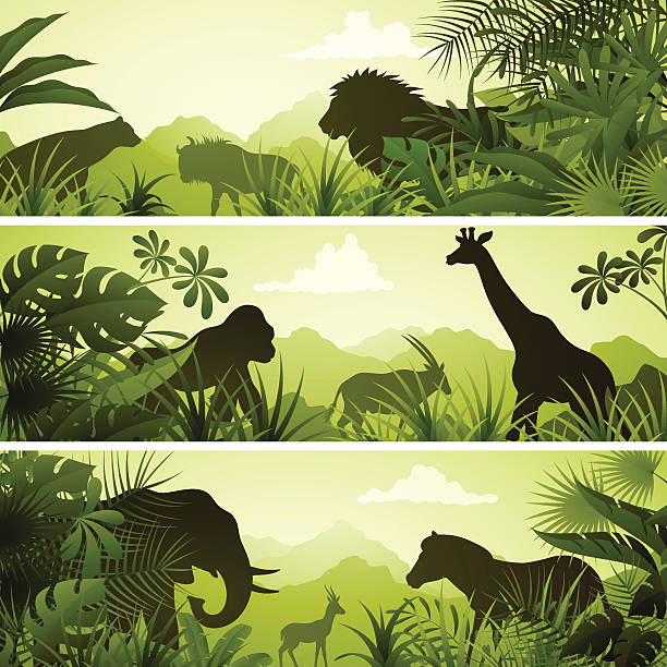 ilustrações, clipart, desenhos animados e ícones de banners africanas - animal de safari