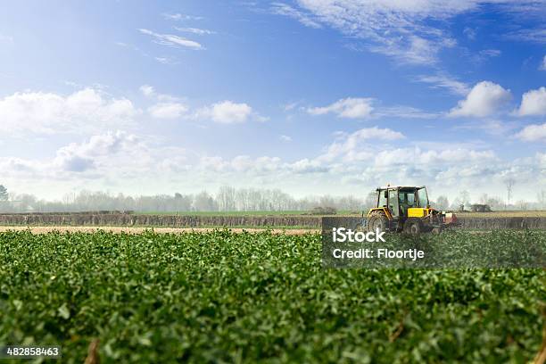 Paisaje Papas Campo Y Tractor Foto de stock y más banco de imágenes de Campo - Tierra cultivada - Campo - Tierra cultivada, Tractor, Patata