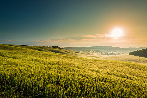 istock Sunrise in Tuscany 482858523