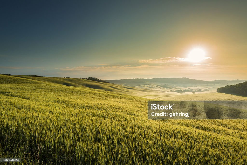Nascer do sol na Toscana - Foto de stock de Agricultura royalty-free
