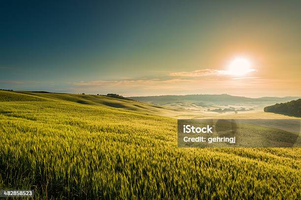 Foto de Nascer Do Sol Na Toscana e mais fotos de stock de Agricultura - Agricultura, Ajardinado, Beleza natural - Natureza