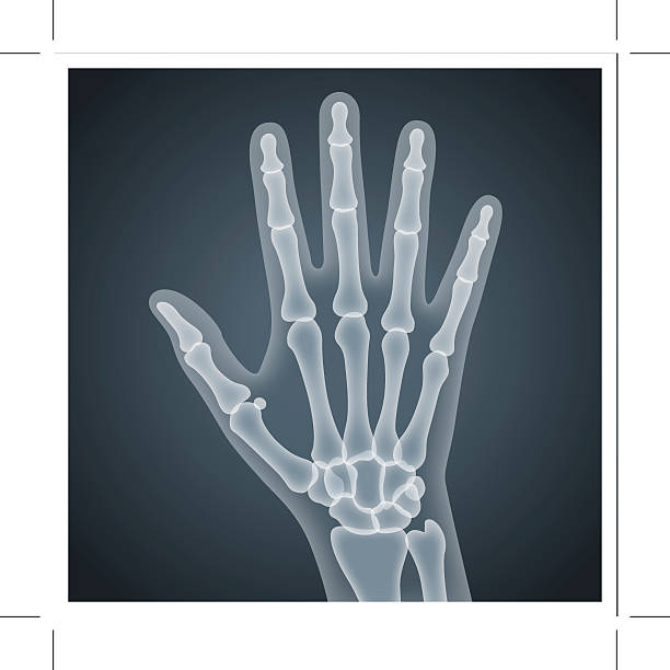 ilustrações de stock, clip art, desenhos animados e ícones de mão humana raios x - human hand on black