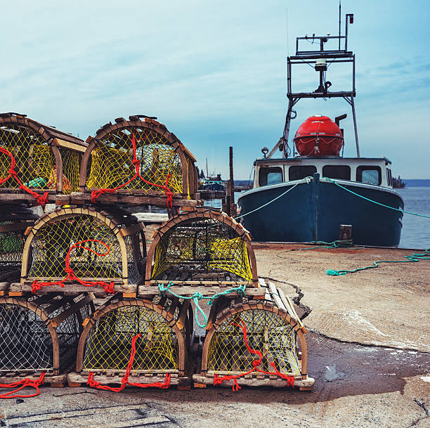 istock Lobster Season Approaches 482859289
