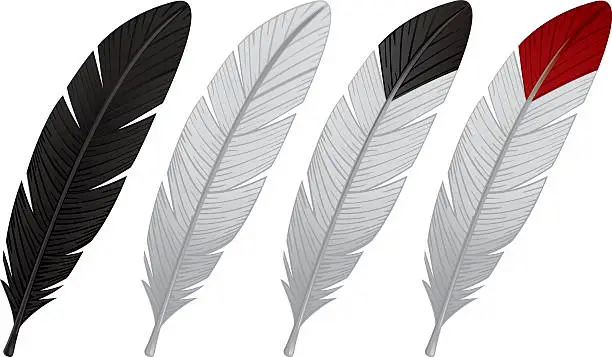 Vector illustration of Colored Feathers