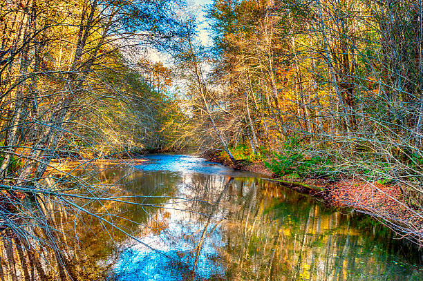 istock Autumn along the Skokomish River 482865674