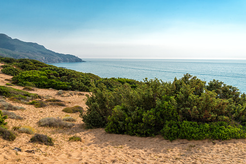 Sardinia