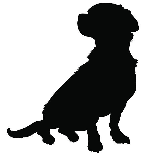 gemischte rasse silhouette - mixed breed dog illustrations stock-grafiken, -clipart, -cartoons und -symbole