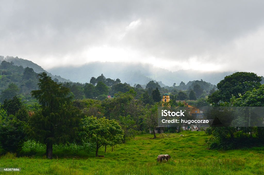 Scenery Landscape with paddock, cow, trees and a church in Mazatepec, Veracruz, Mexico 2015 Stock Photo