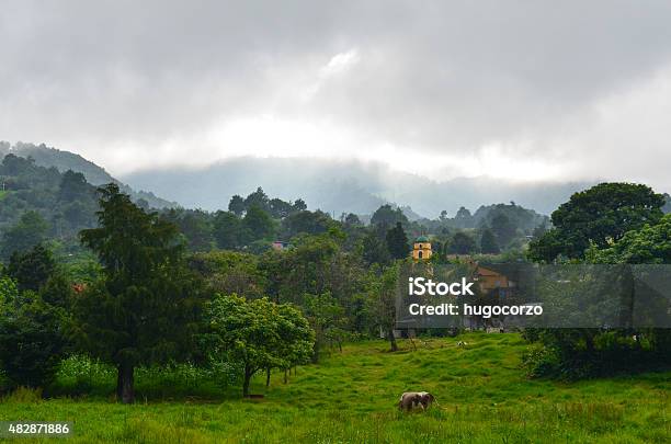 Scenery Stock Photo - Download Image Now - 2015, Church, Forest