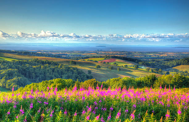 View from Quantock Hills Somerset towards Hinkley Point summer HDR