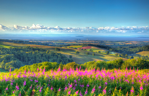 View from Quantock Hills Somerset England UK towards Hinkley Point Nuclear Power Station and the Bristol Channel on a summer evening in vivid colourful HDR like a painting