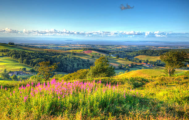 istock View from Quantock Hills Somerset towards Hinkley Point summer HDR 482873026