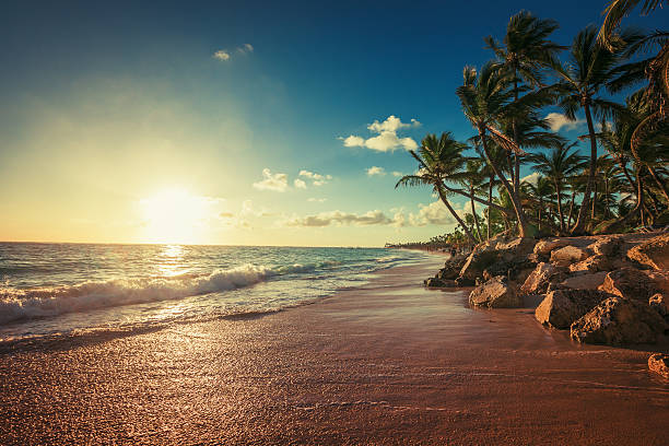 istock Landscape of paradise tropical island beach 482875898
