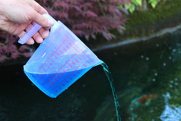 Image of koi-pond being treated with fish medication, malachite / formalin